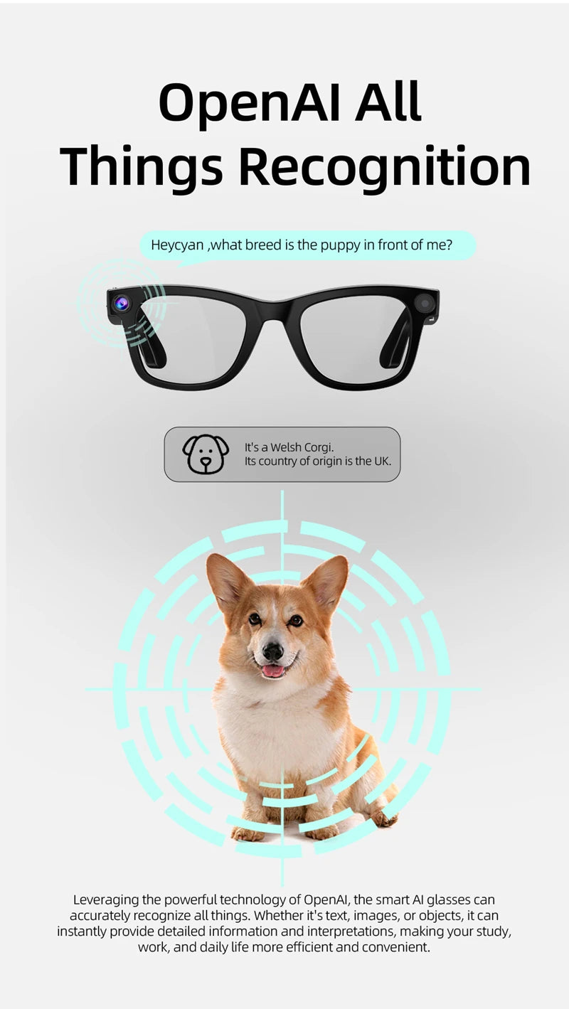 Xiaomi  HD Camera AI Smart Glasses Call Play Video Audio Recording Noise Reduction Headset Touch Bluetooth Sunglasses 2025